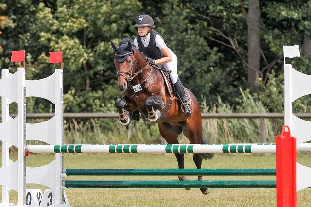 Emir, sommaren 2019. 
Foto: Stefan Keturi http://keturi.se