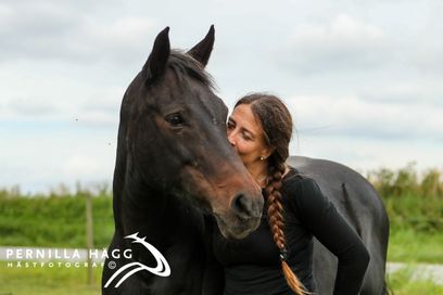 DIMMANS STUTERI --- 30 ÅR --- 1991 - 2021 
2021 firar jag 30 år som uppfödare av New Forestponnyer. Första fölet, DIMMANS CHARLINA RNF 1871 (ex. Miss Charlene Brown) föddes den 18 april 1991 och till och med 2022 har det fötts mer än 70 föl med Dimman-prefix - främst New Forestponnyer, men även några Gotlandsruss, Svensk Ridponny och ett par connemaror. 

På bilden står jag jag tillsammans med mitt ELIT-premierade sto Dimmans Elmia som nu hunnit bli 28 år. Elmia är dotter till mitt första New Foreststo Miss Ellie RNF 1560.
Av de hästar jag äger nu är Elmia mor till Eros, Estancia, Ebony, mormor till Echo, farmor till Decideria, Little Queenie, Lady Madonna, Carly Simon och Lili Marleen. Mormor till Echo, mormorfarmor och mormorsmormor till Ella-Li. Farfarsmor till Lady Janes namnlösa stoföl född 2022. Elmia är 26 år på bilden. Foto Pernilla Hägg, 2 augusti 2020.