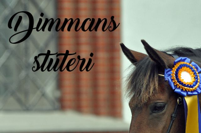 DIMMANS DECIDERIA f.2012 e.Dimmans Eros RNF 182 u.Dimmans Denitha RNF 187-S ue. Dennie RNF 37-S - Hepitho NFH 45 (DK) - Lyndhurst Springtime NFS 636 - Lyndhurst Roamer NFS 403 - Monksorn Bimbo 3508 NPS - Newtown Spark 2582 NPS - Forest Horse. Best in Show, 99888=42p, Bollerup 2016. Hennes dotter Dimmans Decibelle utsågs samtidigt.till utställningens Bästa föl. Som treåring tilldelades Decibelle hopputmärkelse, 9 - 9.
