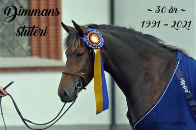 DIMMANS DECIDERIA f.2012 e.Dimmans Eros RNF 182 u.Dimmans Denitha RNF 187-S ue. Dennie RNF 37-S - Hepitho NFH 45 (DK) - Lyndhurst Springtime NFS 636 - Lyndhurst Roamer NFS 403 - Monksorn Bimbo 3508 NPS - Newtown Spark 2582 NPS - Forest Horse. Best in Show, 99888=42p, Bollerup 2016. Hennes dotter Dimmans Decibelle utsågs samtidigt.till utställningens Bästa föl. Som treåring tilldelades Decibelle hopputmärkelse, 9 - 9.